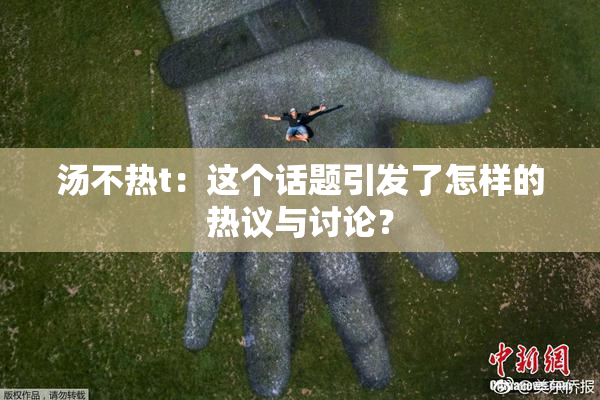 汤不热t：这个话题引发了怎样的热议与讨论？