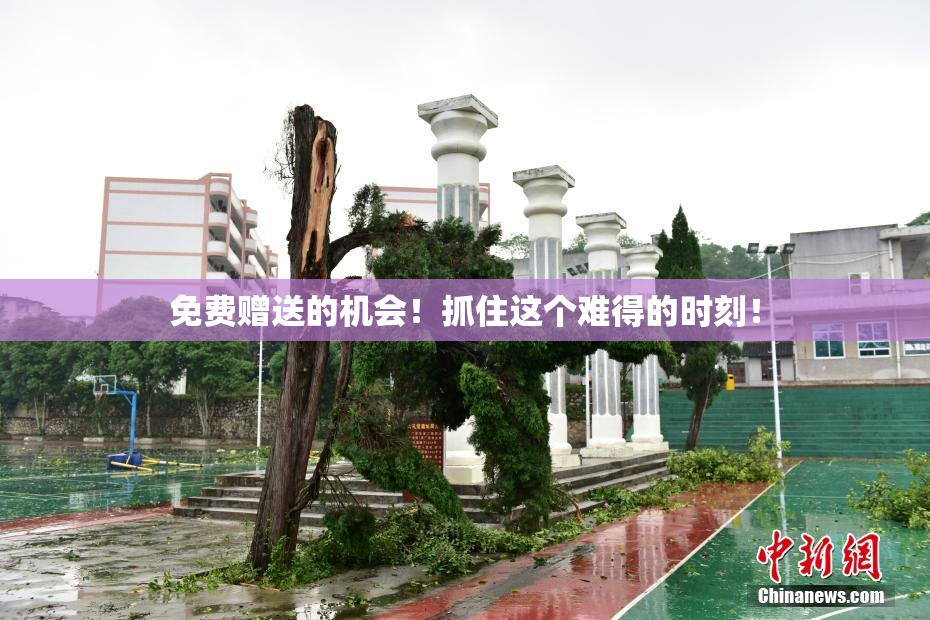 免费赠送的机会！抓住这个难得的时刻！