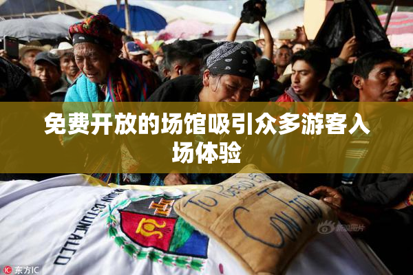 免费开放的场馆吸引众多游客入场体验