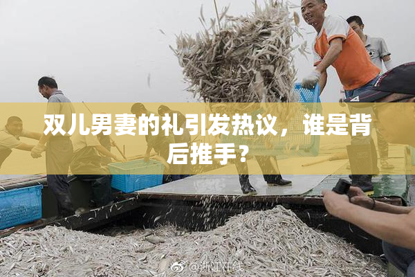 双儿男妻的礼引发热议，谁是背后推手？