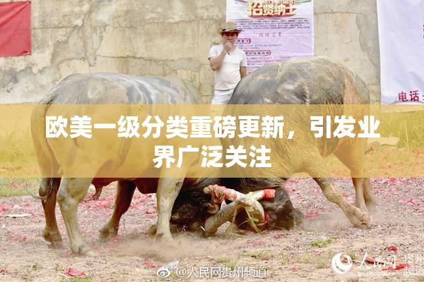 欧美一级分类重磅更新，引发业界广泛关注