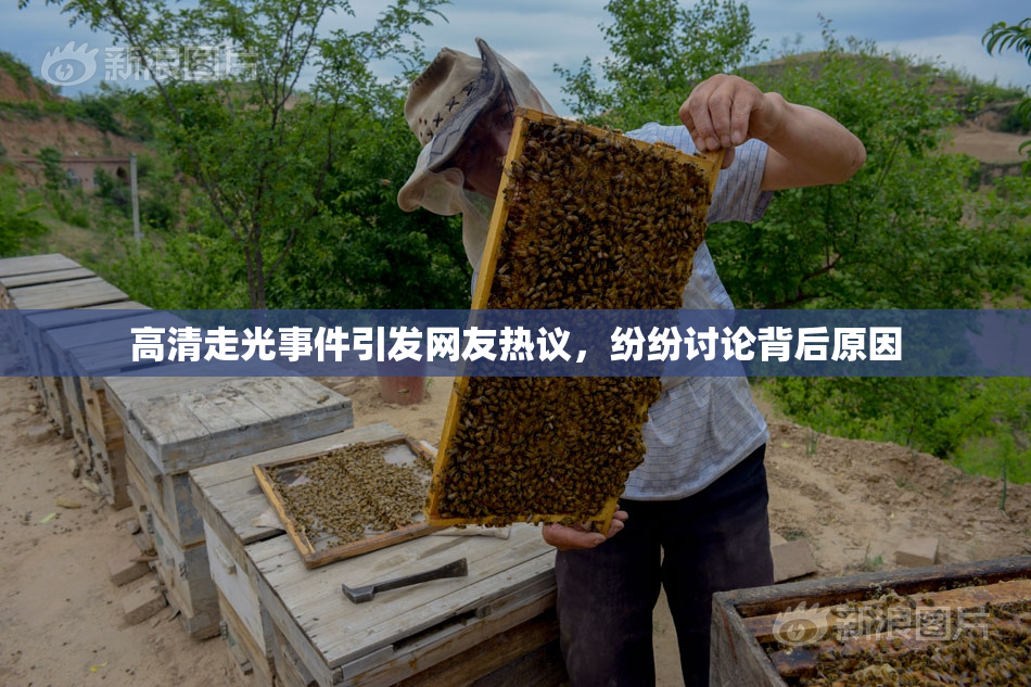 高清走光事件引发网友热议，纷纷讨论背后原因