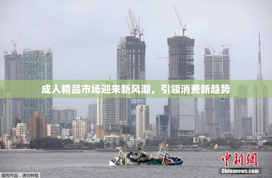 成人精品市场迎来新风潮，引领消费新趋势