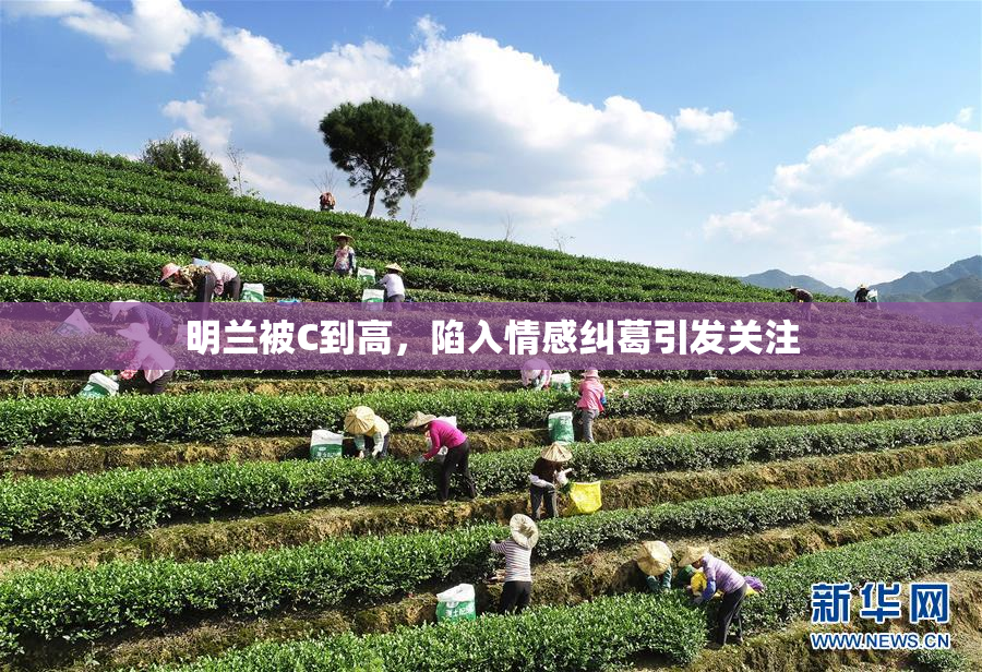 明兰被C到高，陷入情感纠葛引发关注