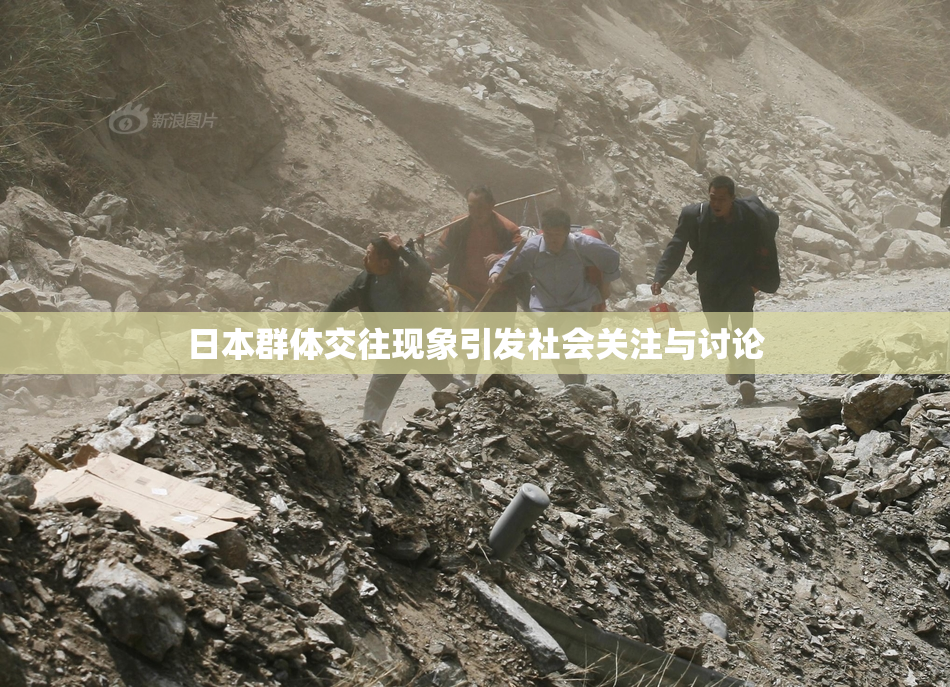 日本群体交往现象引发社会关注与讨论