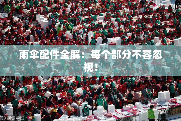 雨伞配件全解：每个部分不容忽视！