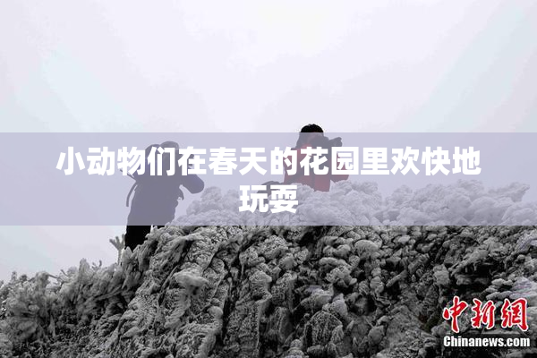 小动物们在春天的花园里欢快地玩耍