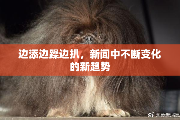 边添边躁边扒，新闻中不断变化的新趋势
