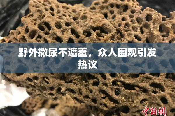 野外撒尿不遮羞，众人围观引发热议