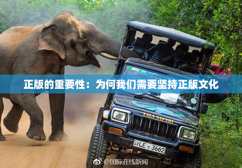 正版的重要性：为何我们需要坚持正版文化
