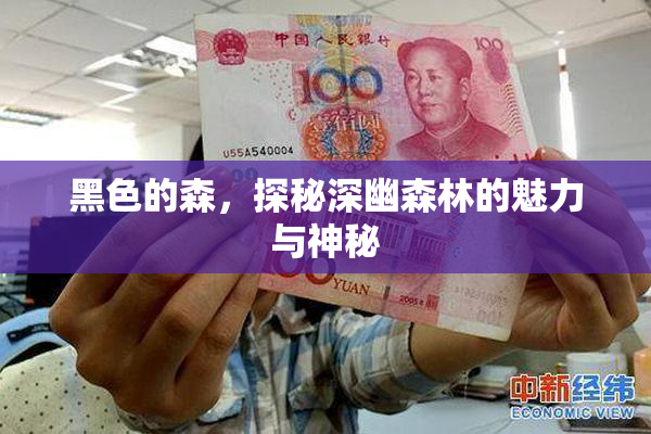 黑色的森，探秘深幽森林的魅力与神秘