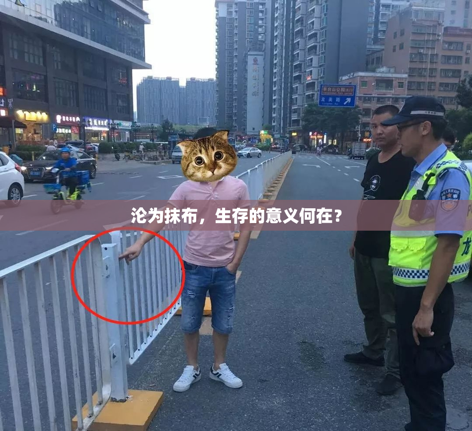 沦为抹布，生存的意义何在？