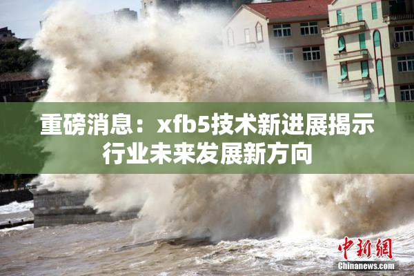 重磅消息：xfb5技术新进展揭示行业未来发展新方向