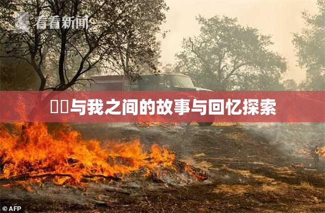 妺妺与我之间的故事与回忆探索