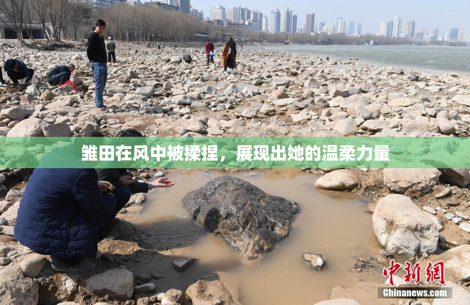 雏田在风中被揉捏，展现出她的温柔力量