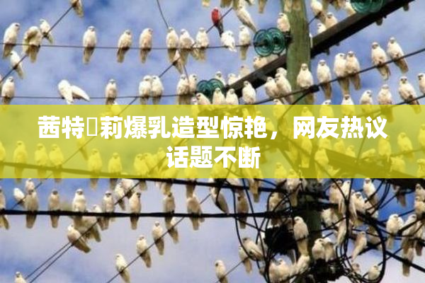 茜特菈莉爆乳造型惊艳，网友热议话题不断