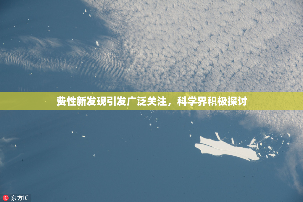 费性新发现引发广泛关注，科学界积极探讨
