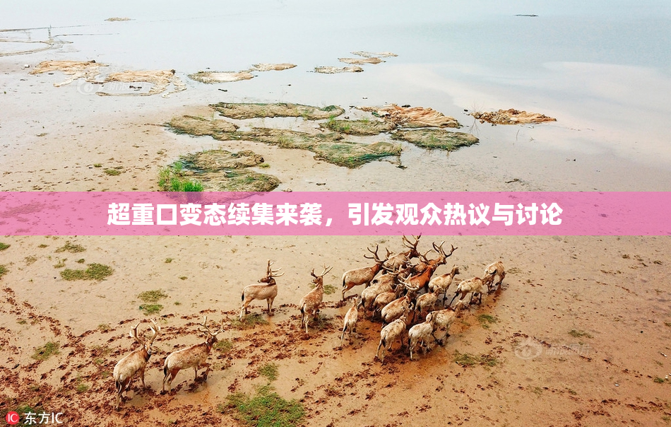 超重口变态续集来袭，引发观众热议与讨论