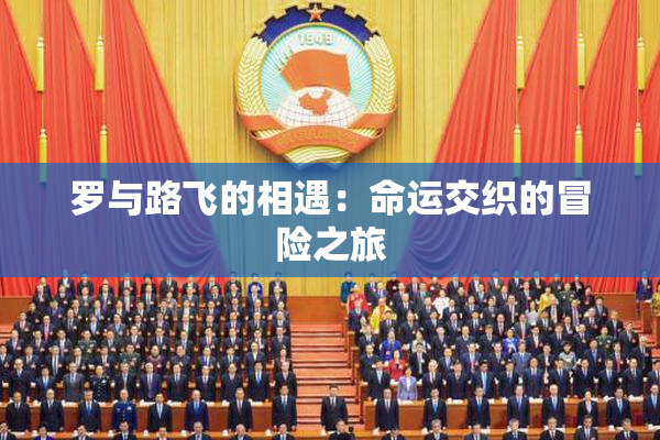 罗与路飞的相遇：命运交织的冒险之旅