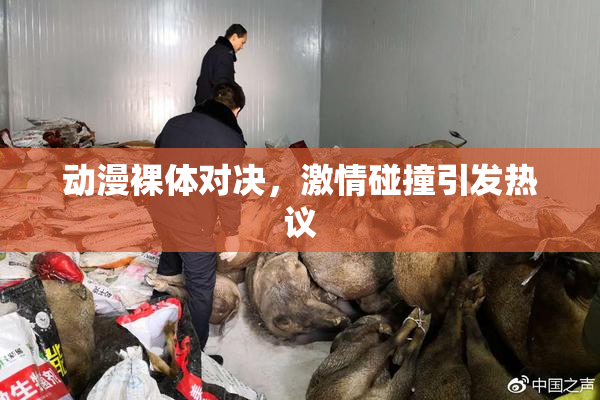 动漫裸体对决，激情碰撞引发热议