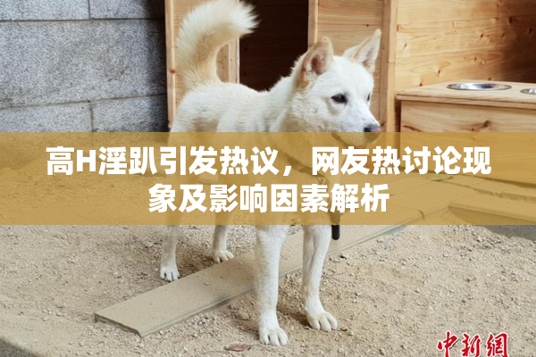 高H淫趴引发热议，网友热讨论现象及影响因素解析
