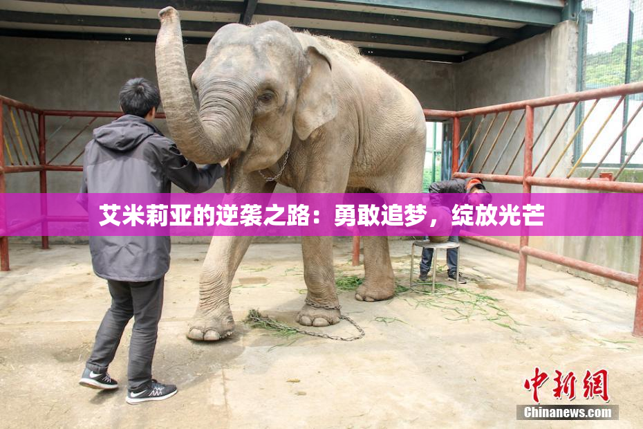 艾米莉亚的逆袭之路：勇敢追梦，绽放光芒