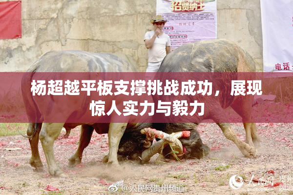 杨超越平板支撑挑战成功，展现惊人实力与毅力