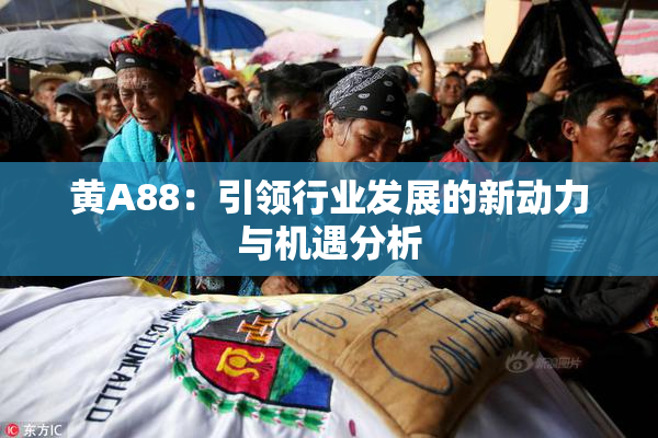 黄A88：引领行业发展的新动力与机遇分析