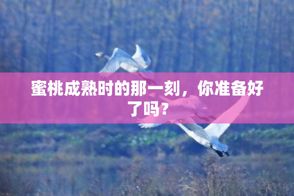 蜜桃成熟时的那一刻，你准备好了吗？