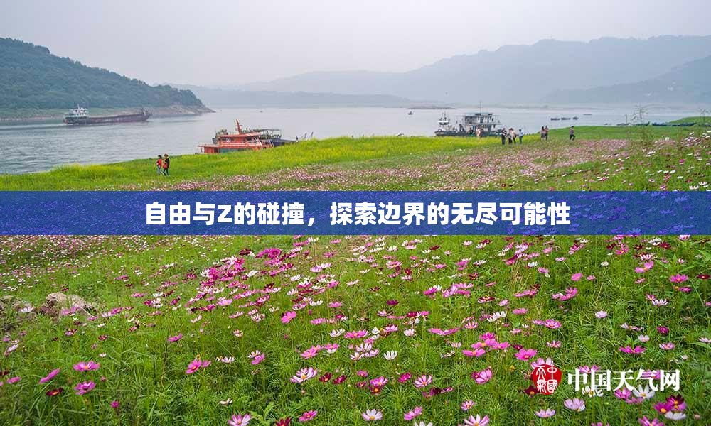 自由与Z的碰撞，探索边界的无尽可能性