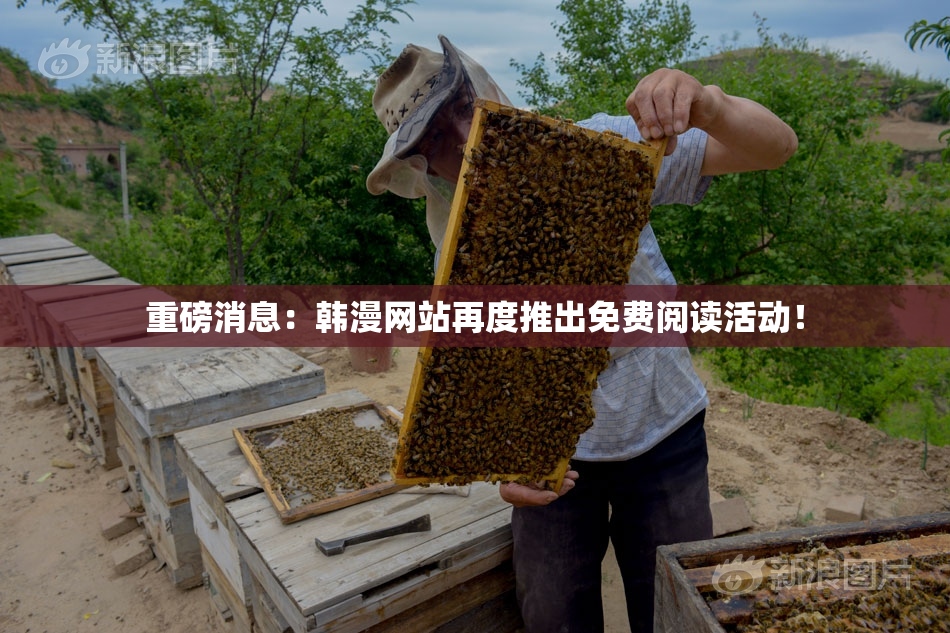 重磅消息：韩漫网站再度推出免费阅读活动！