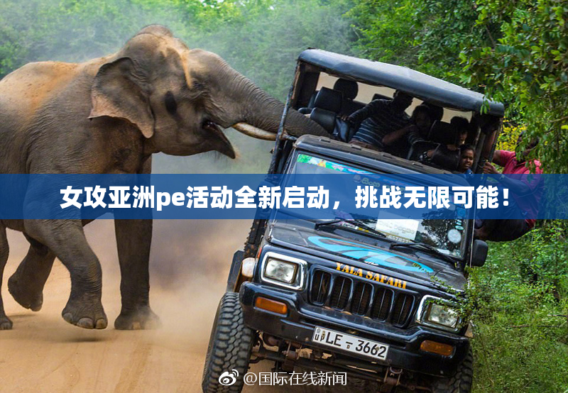 女攻亚洲pe活动全新启动，挑战无限可能！