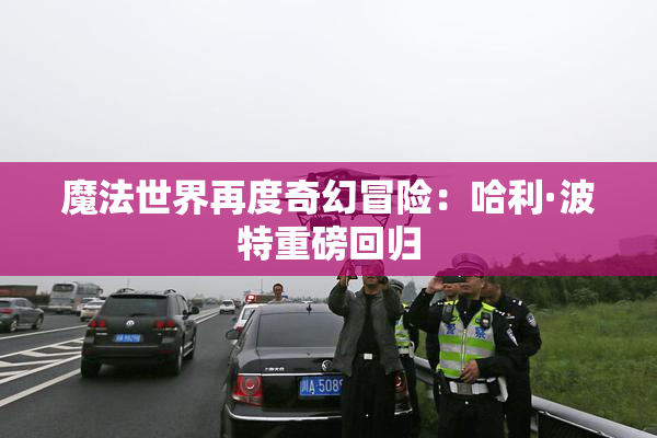 魔法世界再度奇幻冒险：哈利·波特重磅回归