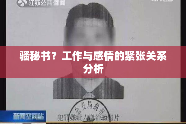 骚秘书？工作与感情的紧张关系分析