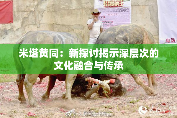 米塔黄同：新探讨揭示深层次的文化融合与传承