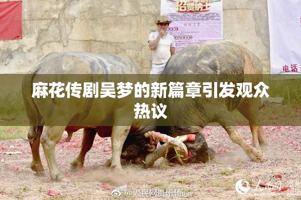 麻花传剧吴梦的新篇章引发观众热议