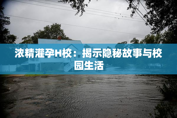 浓精灌孕H校：揭示隐秘故事与校园生活
