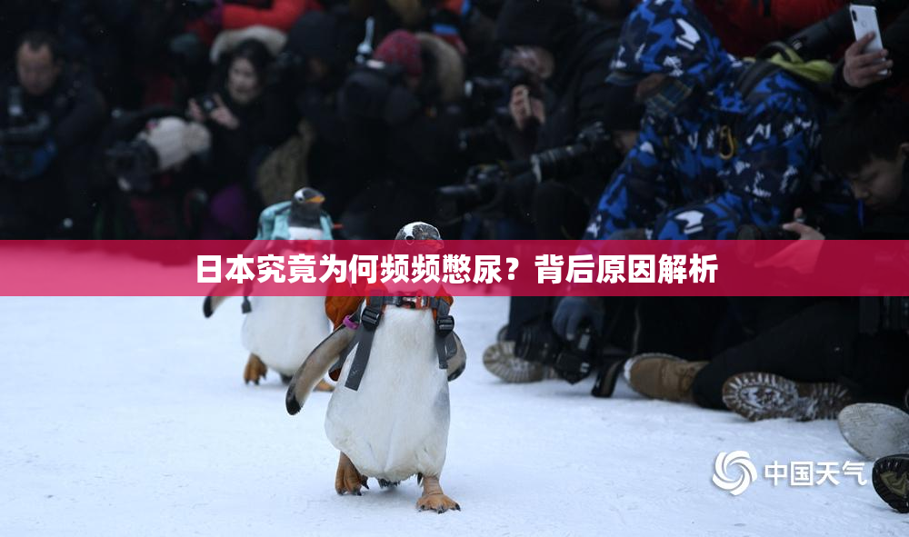 日本究竟为何频频憋尿？背后原因解析