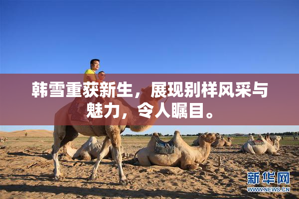 韩雪重获新生，展现别样风采与魅力，令人瞩目。