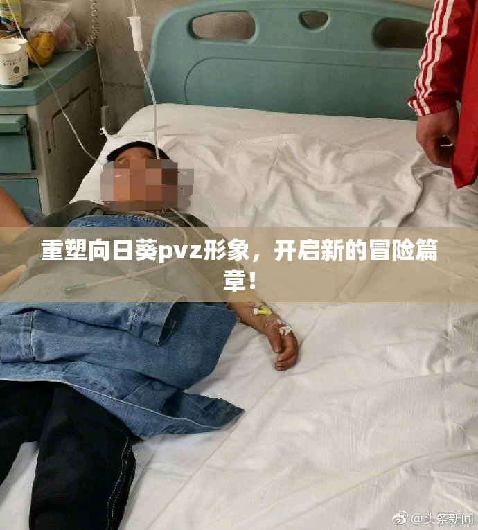 重塑向日葵pvz形象，开启新的冒险篇章！