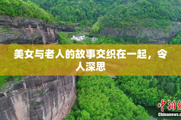 美女与老人的故事交织在一起，令人深思