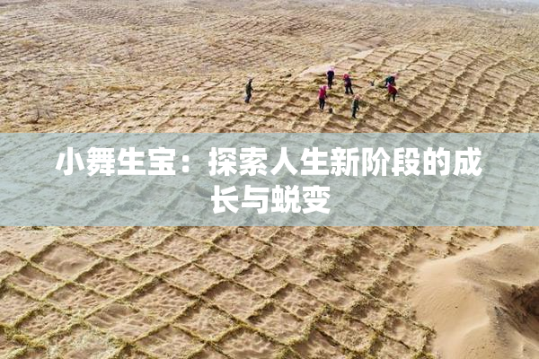 小舞生宝：探索人生新阶段的成长与蜕变