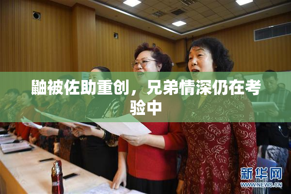 鼬被佐助重创，兄弟情深仍在考验中