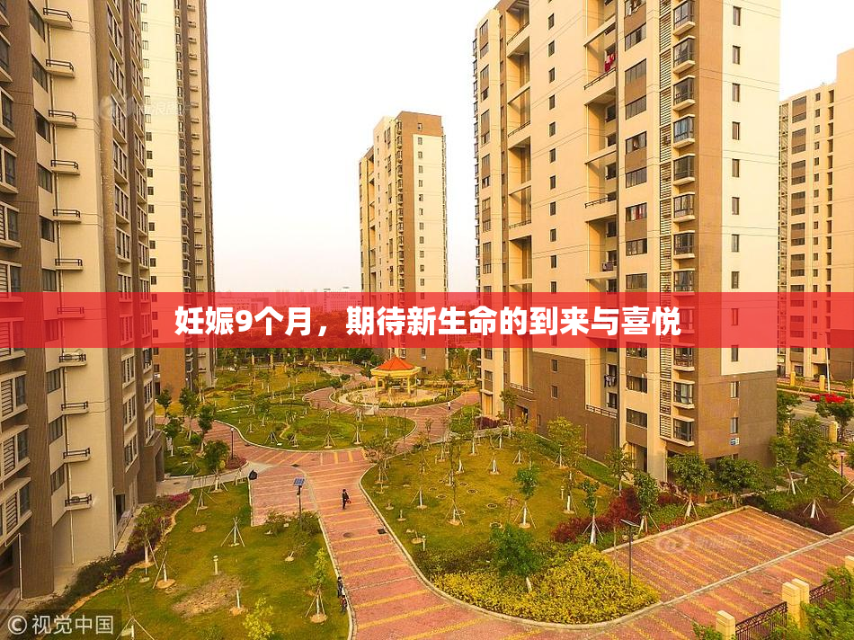 妊娠9个月，期待新生命的到来与喜悦