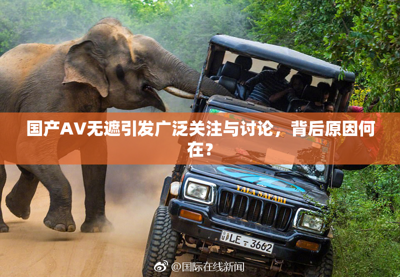 国产AV无遮引发广泛关注与讨论，背后原因何在？