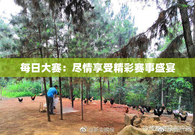 每日大赛：尽情享受精彩赛事盛宴