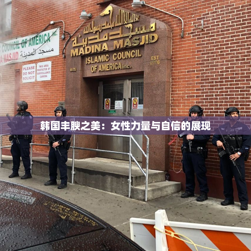 韩国丰腴之美：女性力量与自信的展现