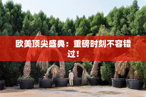 欧美顶尖盛典：重磅时刻不容错过！