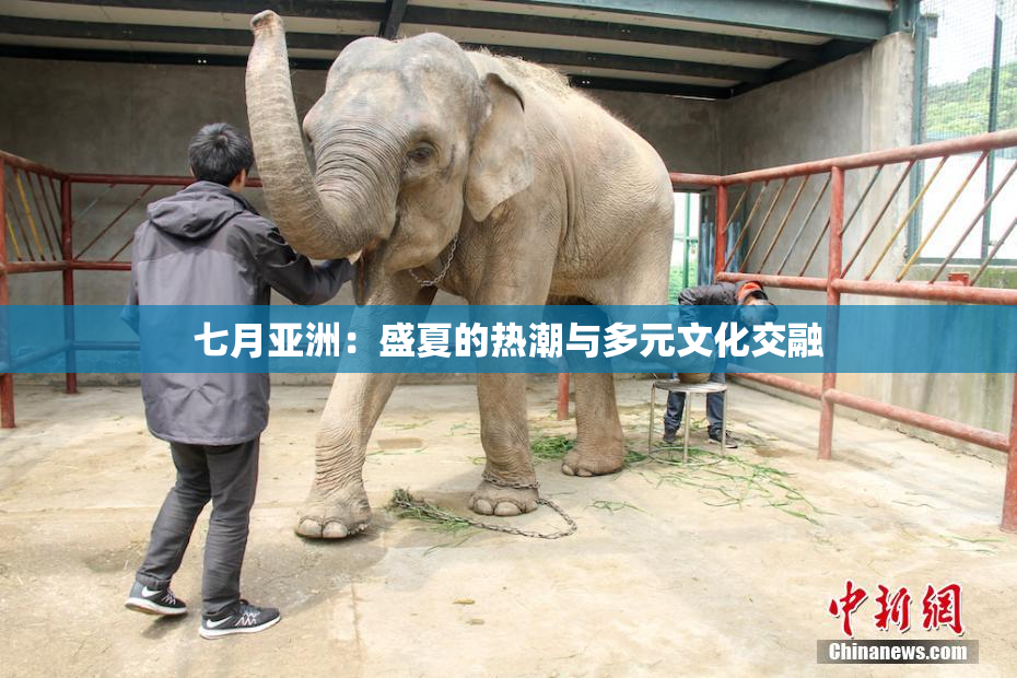 七月亚洲：盛夏的热潮与多元文化交融