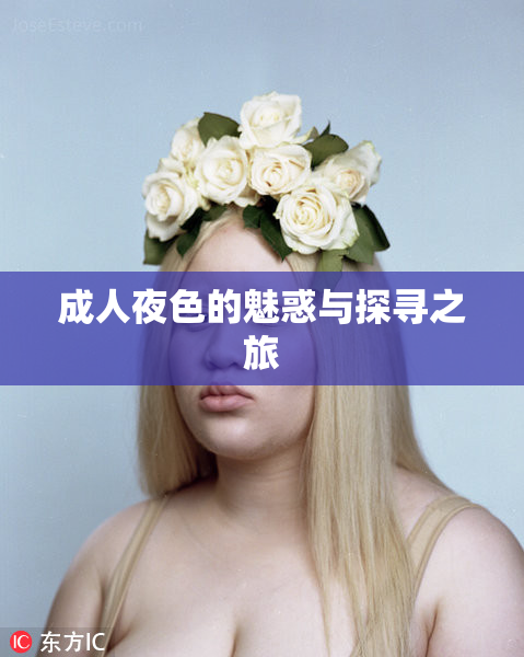 成人夜色的魅惑与探寻之旅